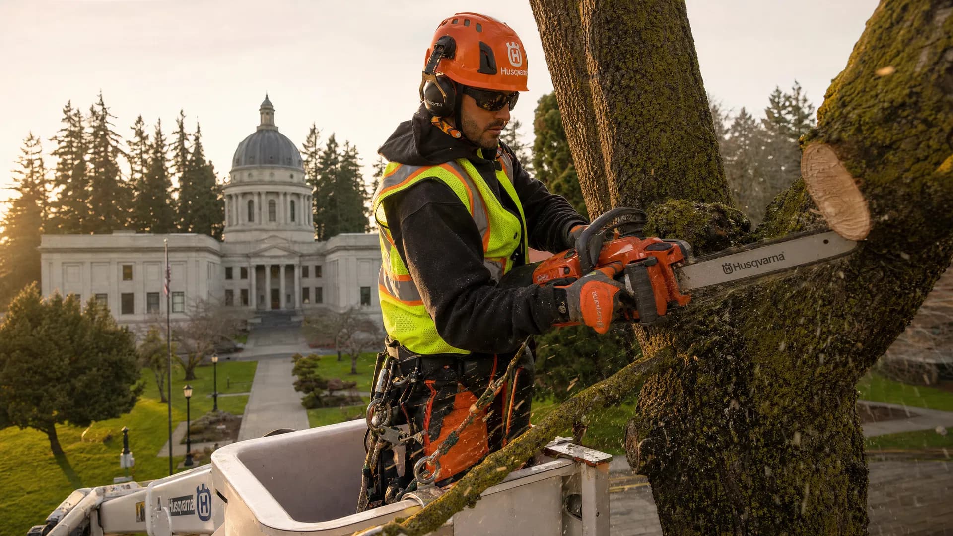 Municipal crew clearing trees near a government building with Husqvarna equipment